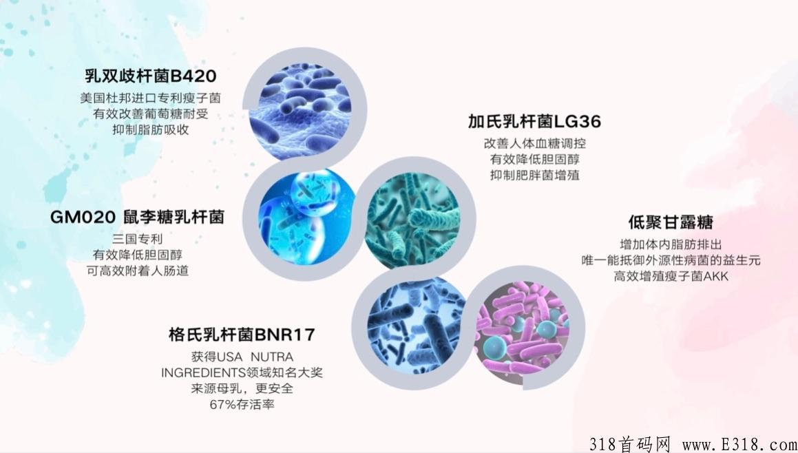 轻花田首码即将启航！公司产品有哪些优势