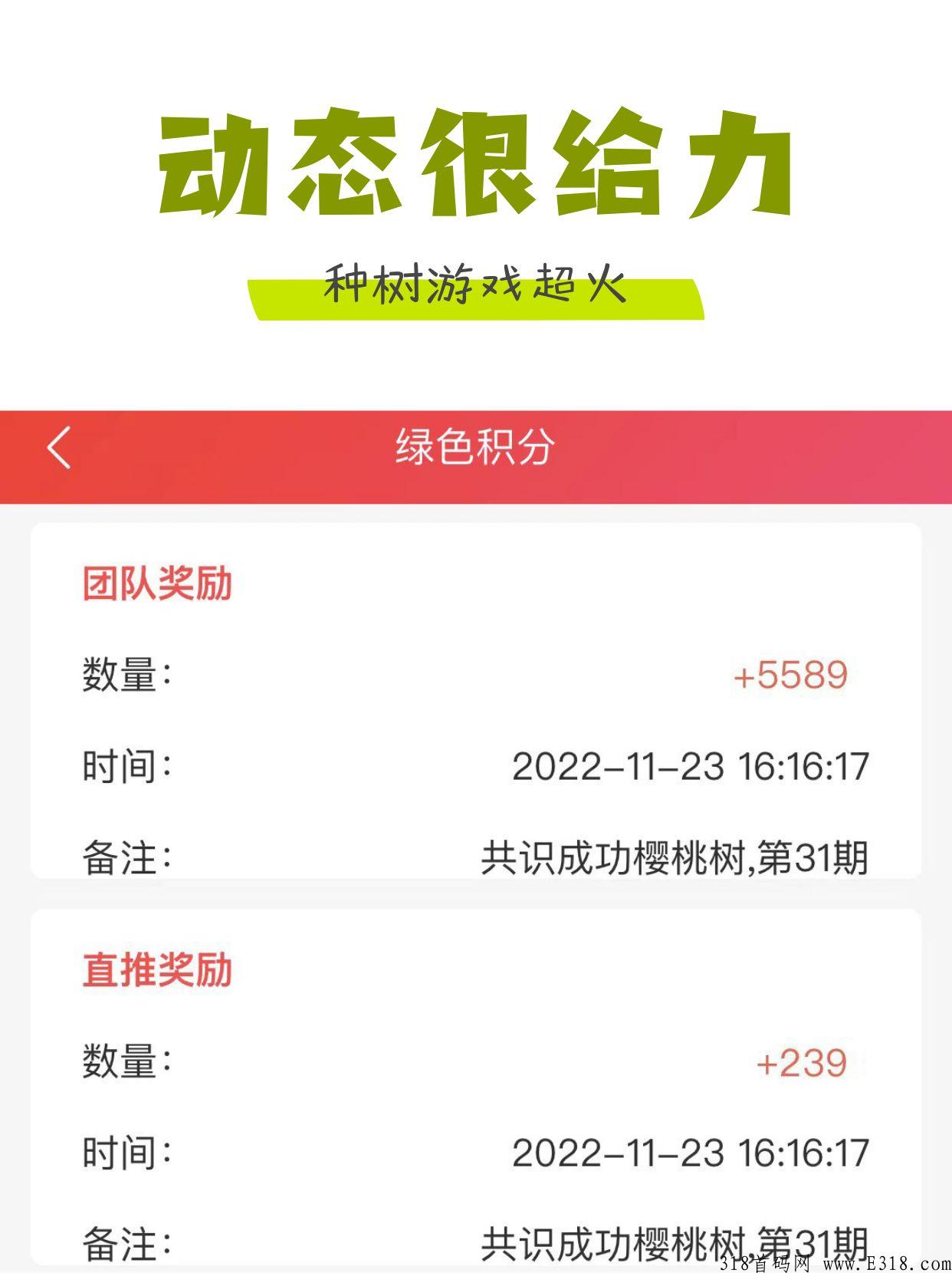 聚尤汇种数游戏，日收益高，欢迎对接