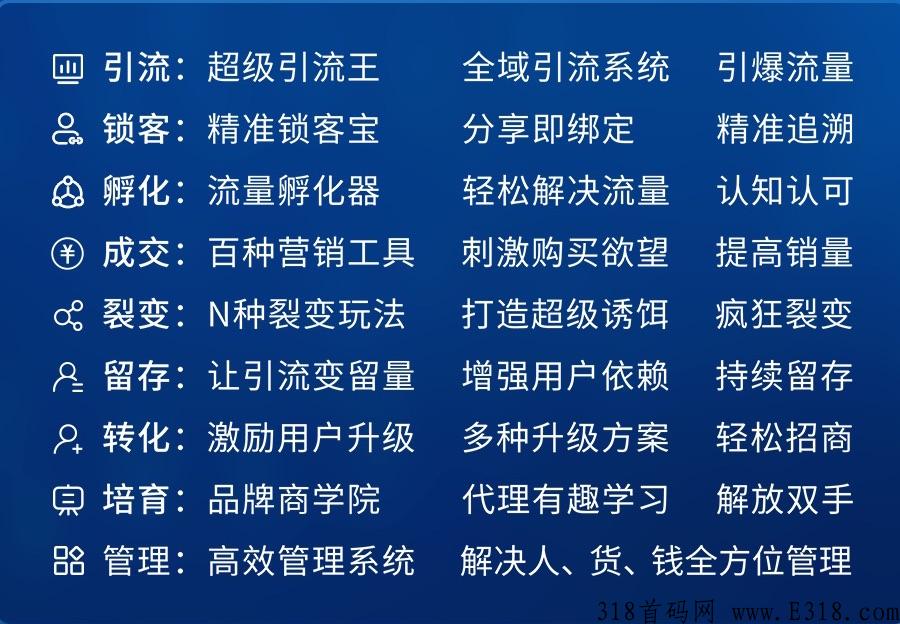轻花田首码先机中的先机，项目优势