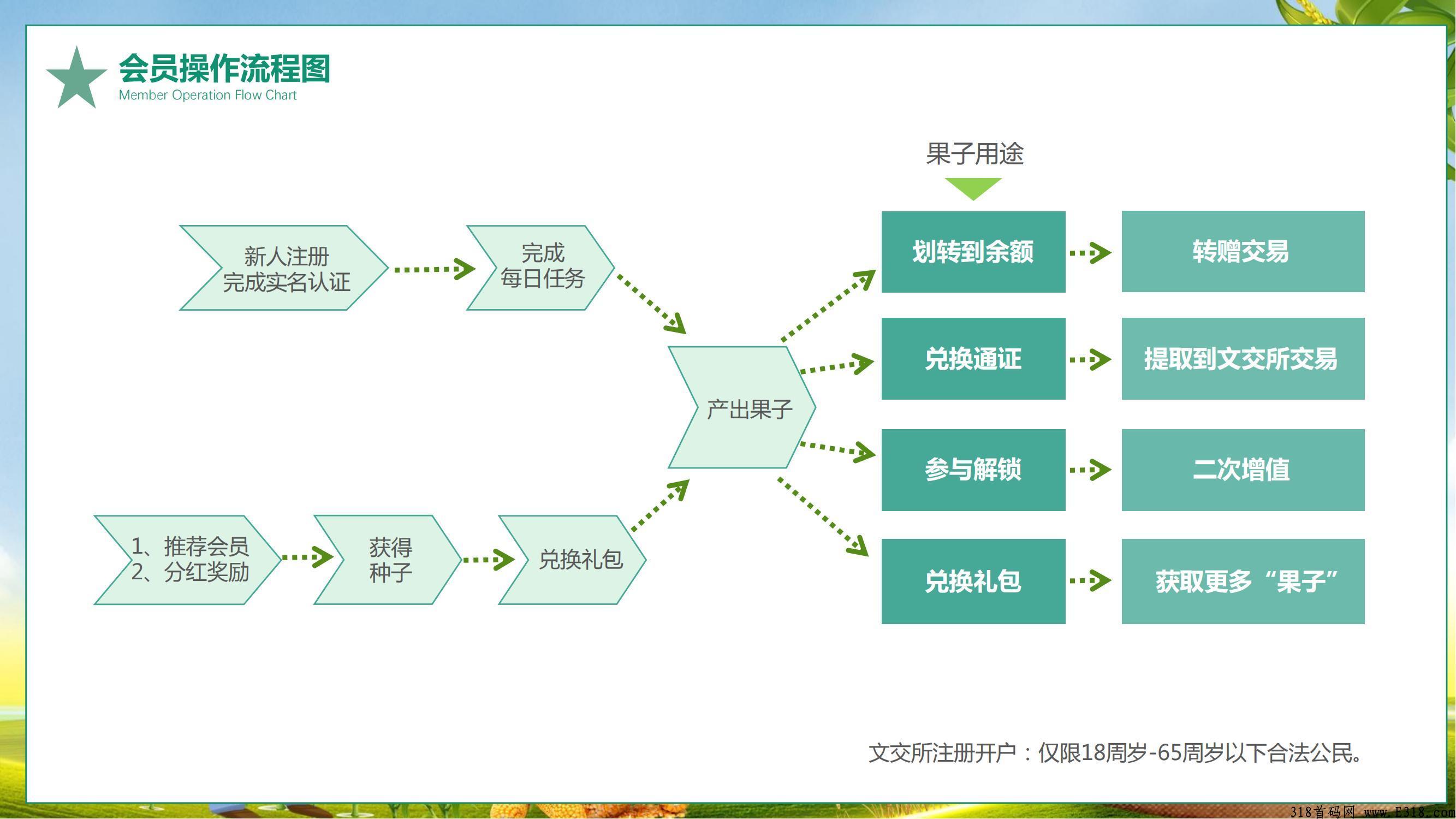 市场部排线果农生活卷轴+通证带销毁机制兜底三星对接团队长