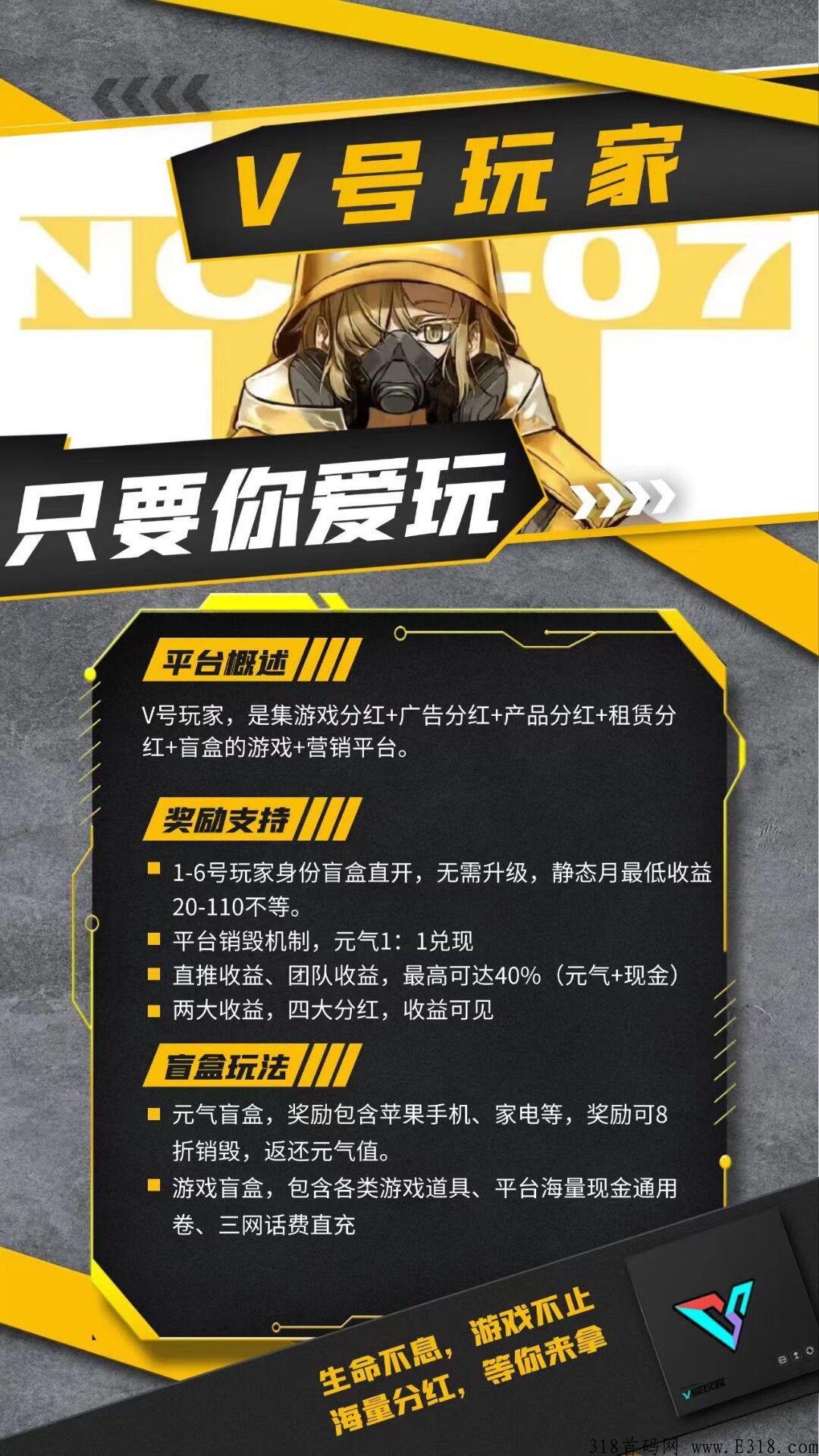 V号玩家首码对接，低门槛创业，2022天花板火爆项目