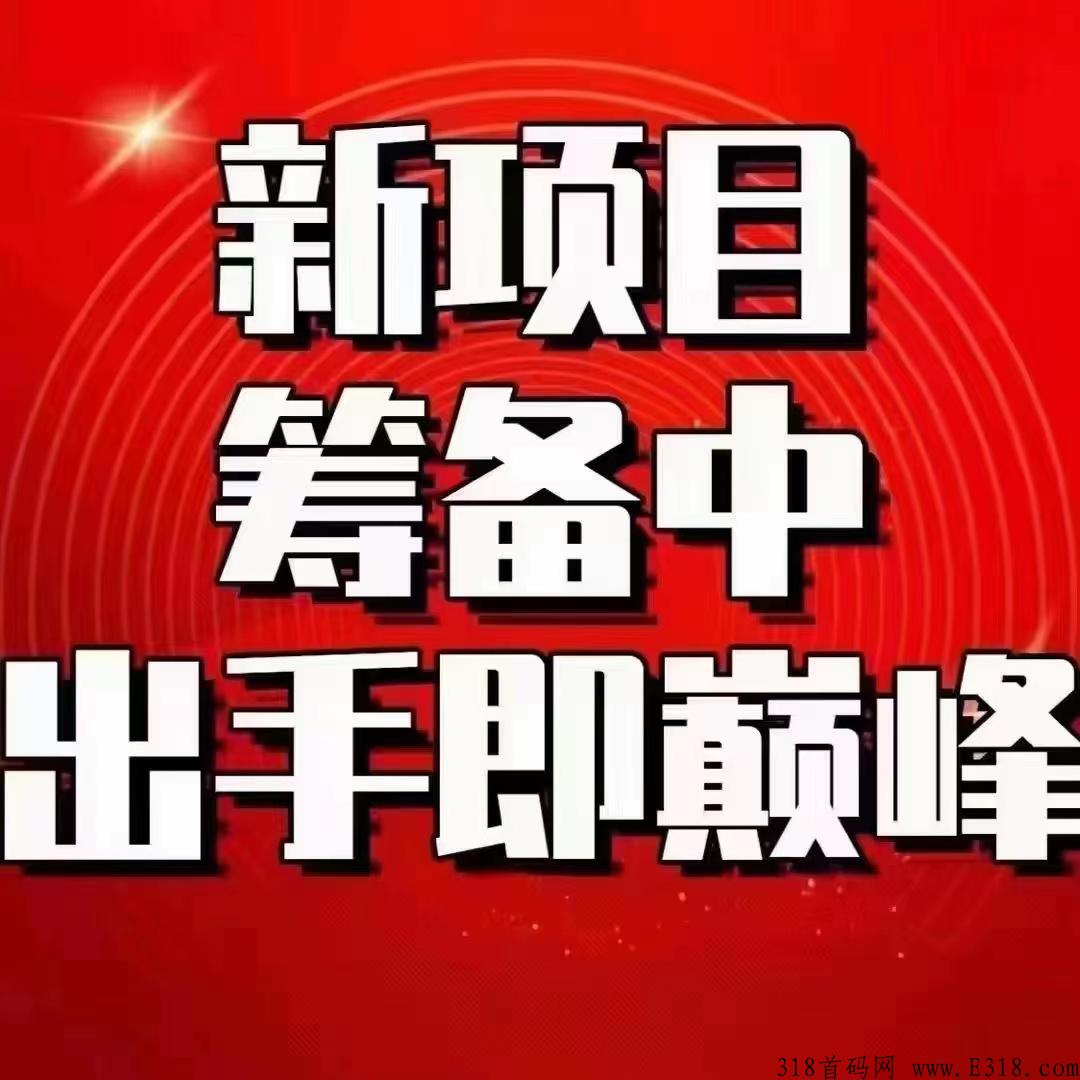 泰山sun，马上启动，先机项目对接，政策好，诚邀各大团队长
