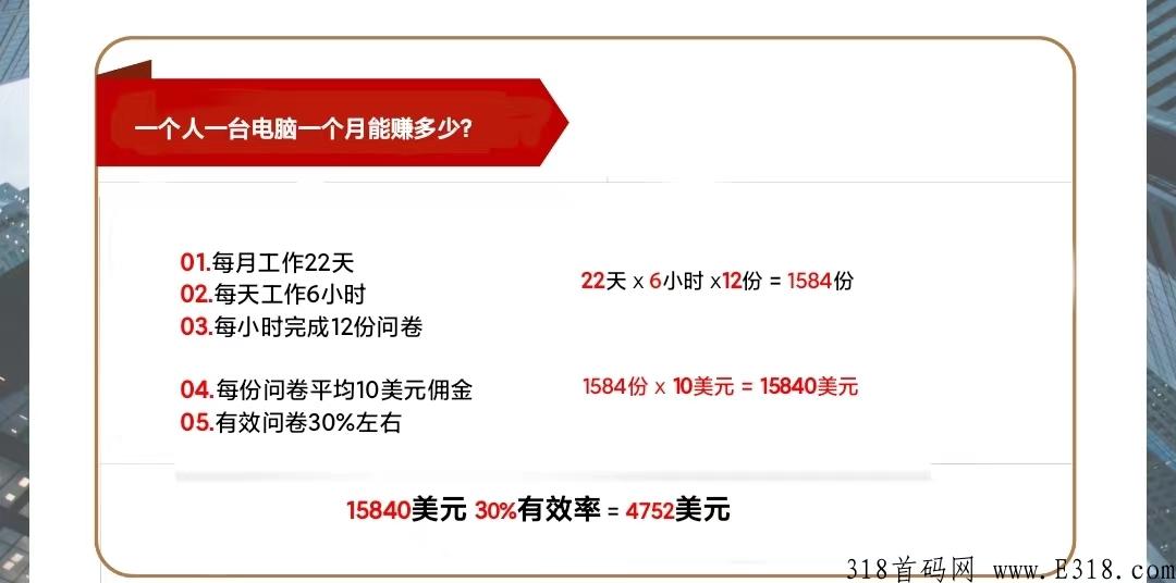 海外问卷调查，新首码项目