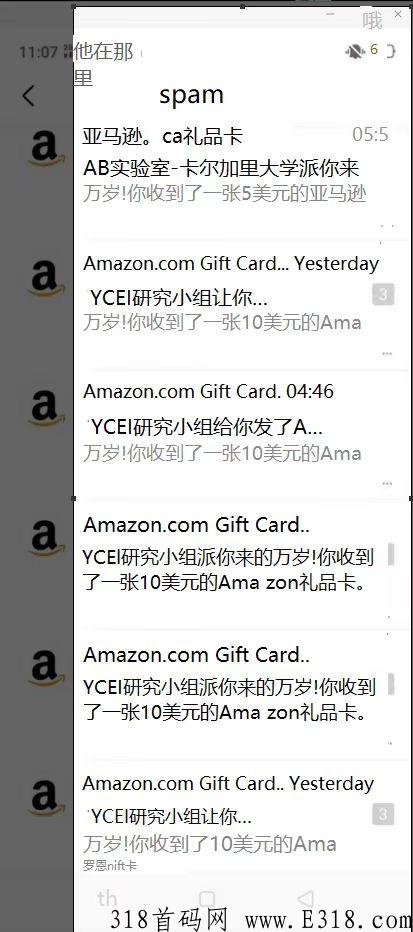 亚马逊问卷调查，居家赚米，一起做大做强