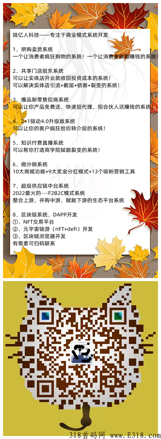 元宇宙，接软件开发，小程序app定制开发，网站公众号定制开发，实力团队，实体公司