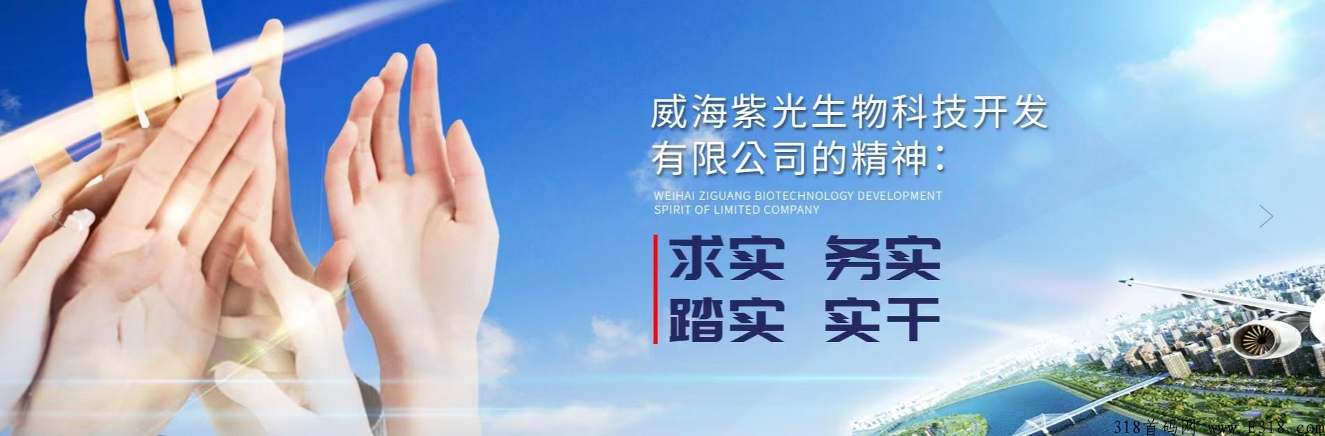 紫光新零售项目的亮点优势和项目解析
