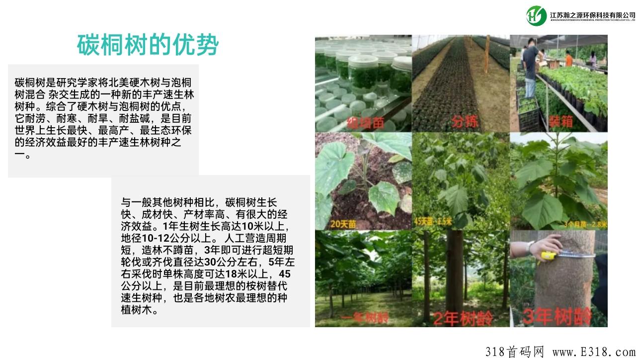 实体长久项目