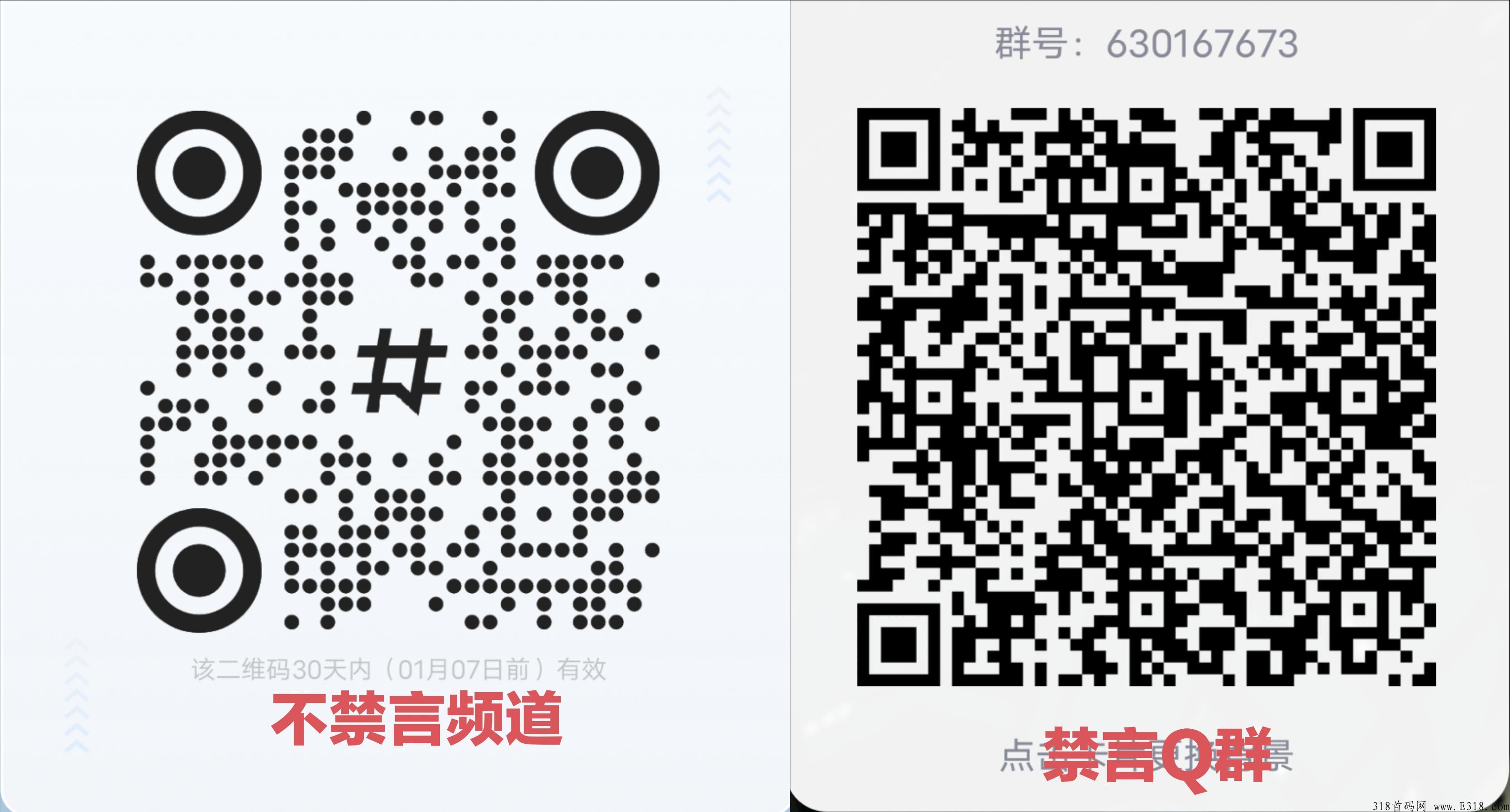 商联盟，24小时自动项目，进频道了解更多