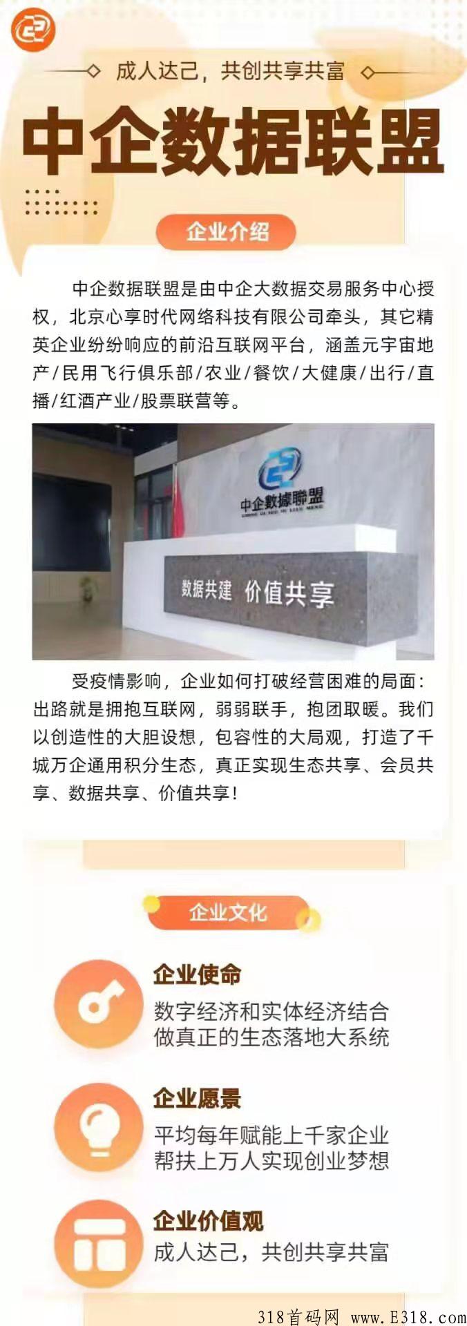 《数据联盟》火爆上线，副业的好帮手