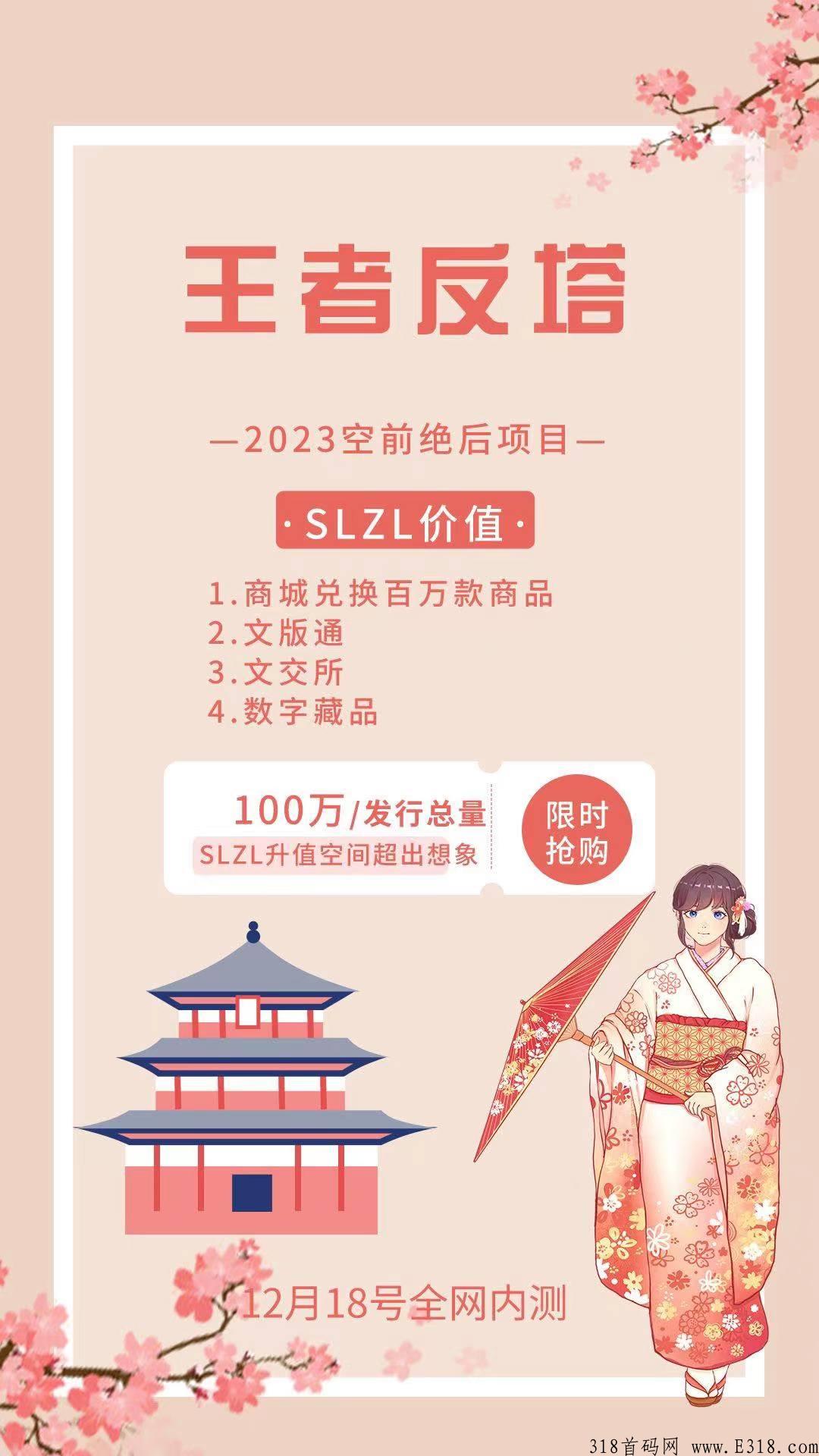 王者反塔，首创模式，2023跨年火爆项目，一起来反塔