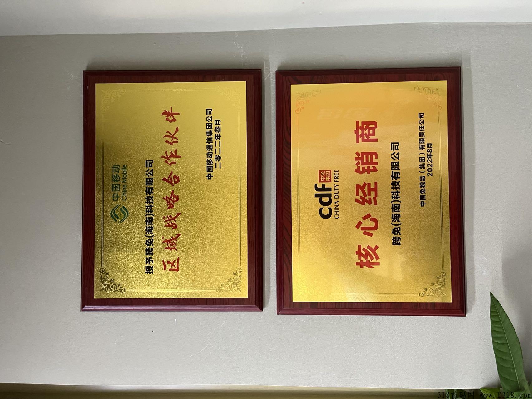 跨兔严选，招募首码团队长，无限代2，年后黑马项目