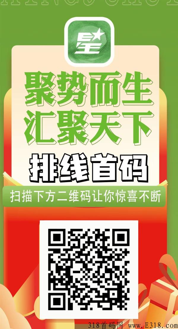 数据联盟，2023黑马项目星聚汇排线，三星兜底