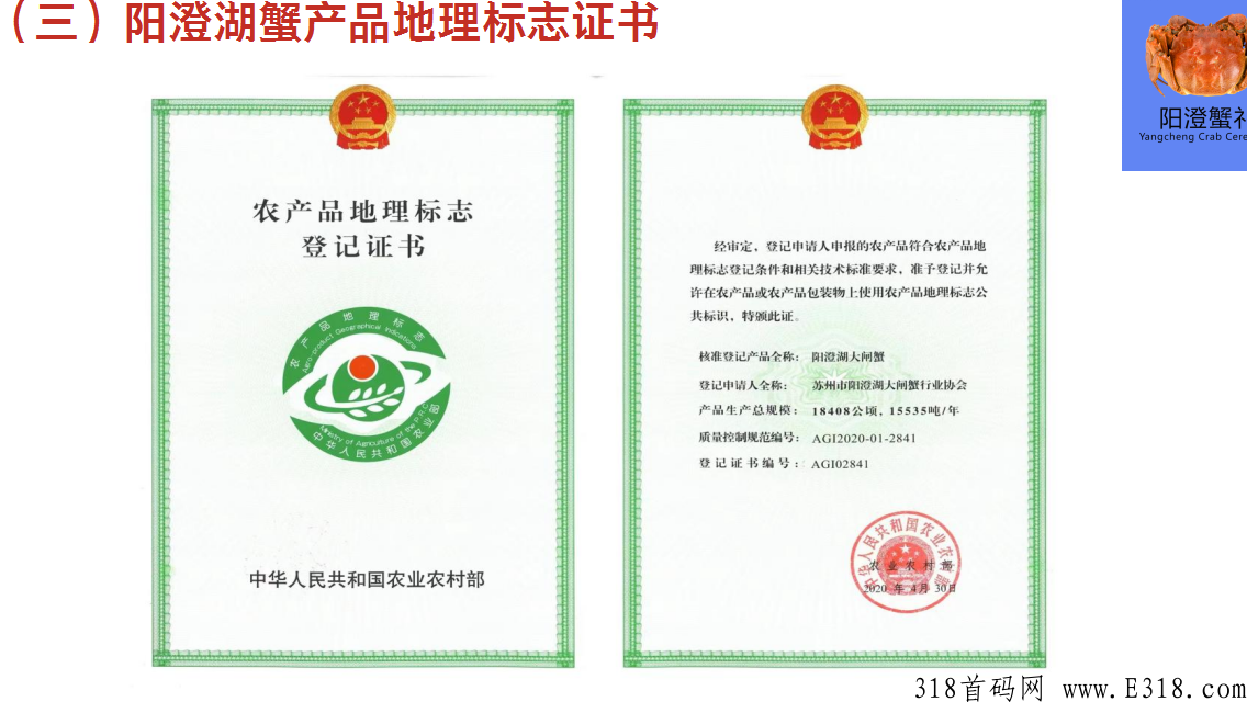 阳澄商城竞拍模式火爆上线 image.png