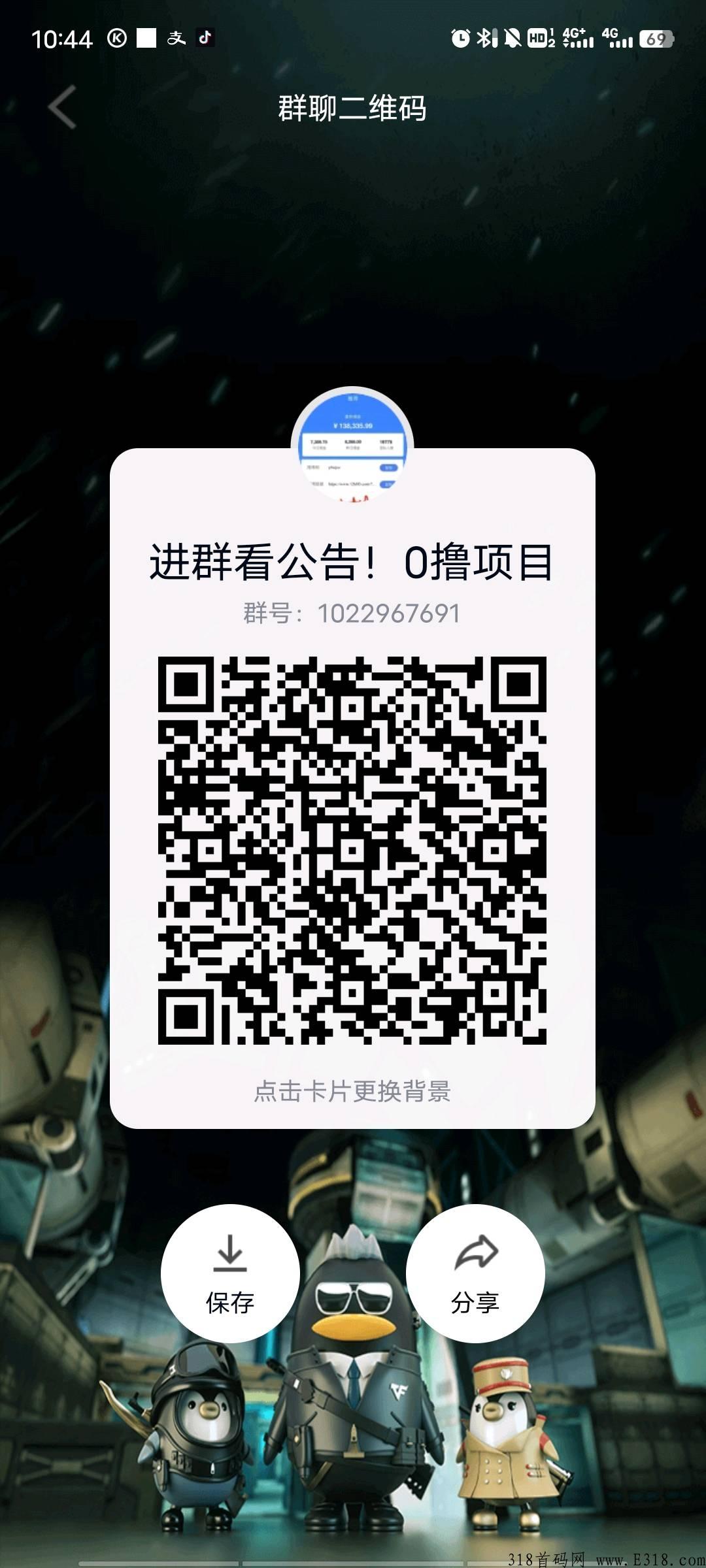 新首码项目，天花板，速度来撸