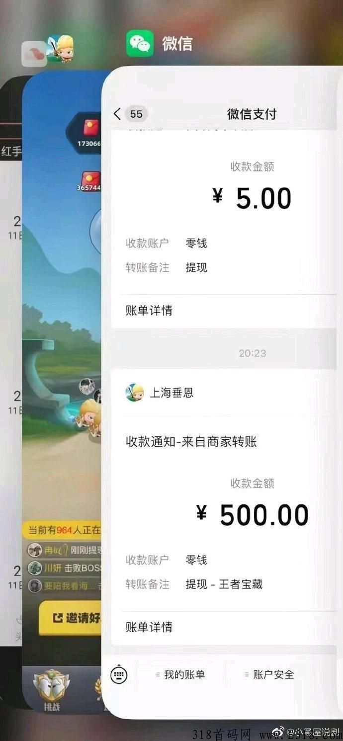 王者宝藏，新首码项目