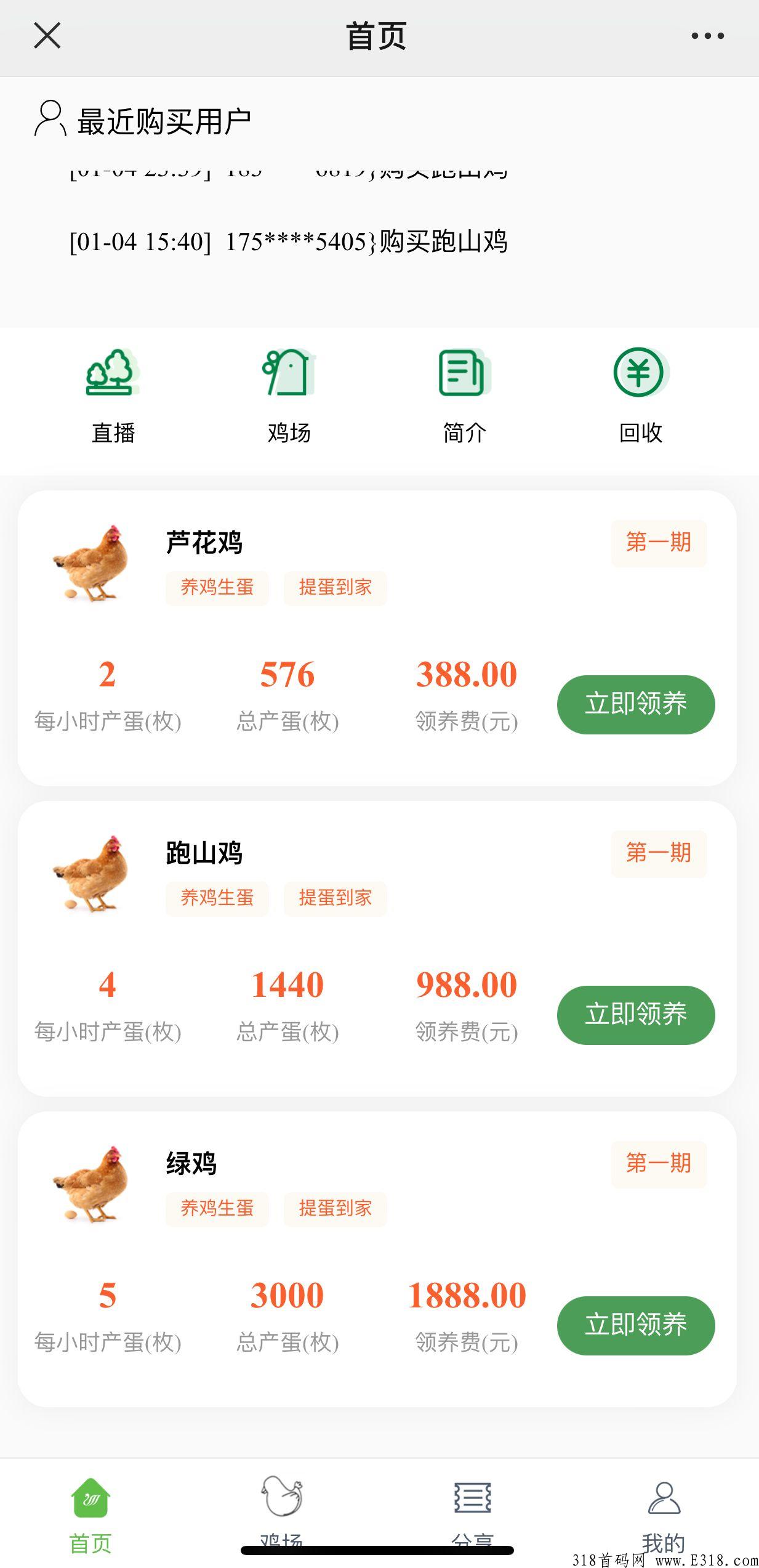 首页朋友圈，养鸡养殖刚开一秒，对接各大团长或个人，稳定平台，新玩法新扶持