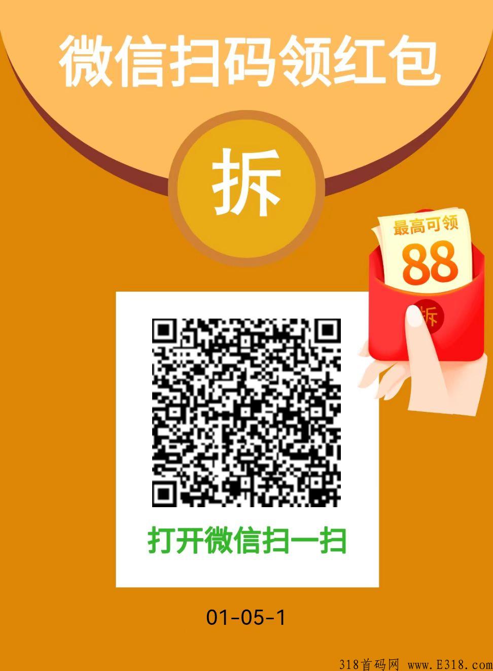 低保项目拼拼助力，美团电宝模式