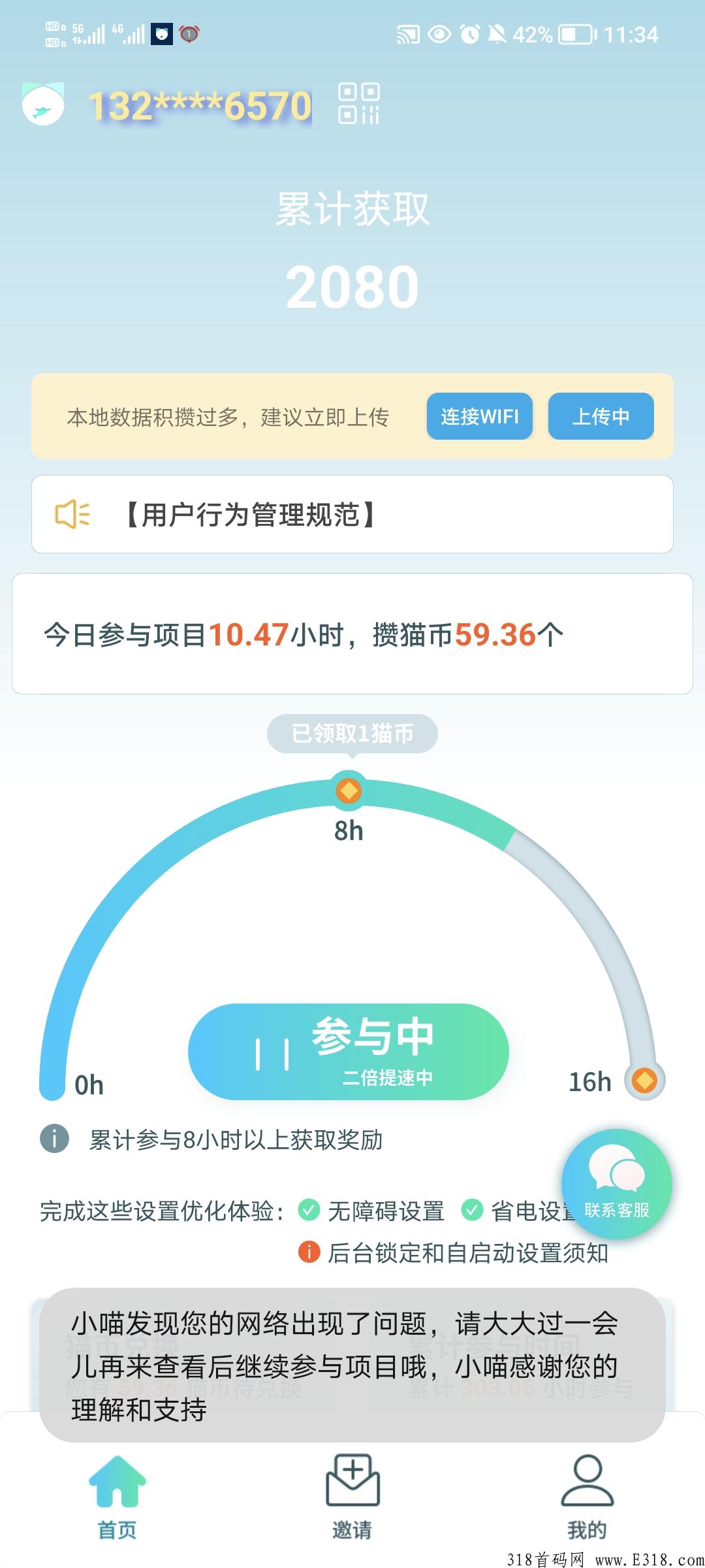 抓鱼猫，红利项目，收益高