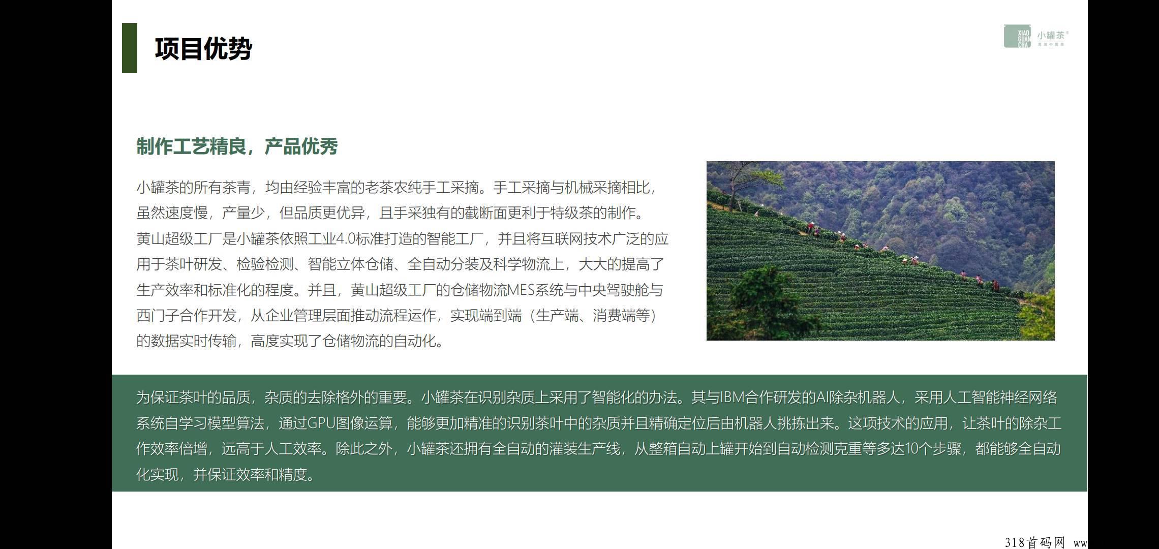 小罐茶，年度最佳长久项目
