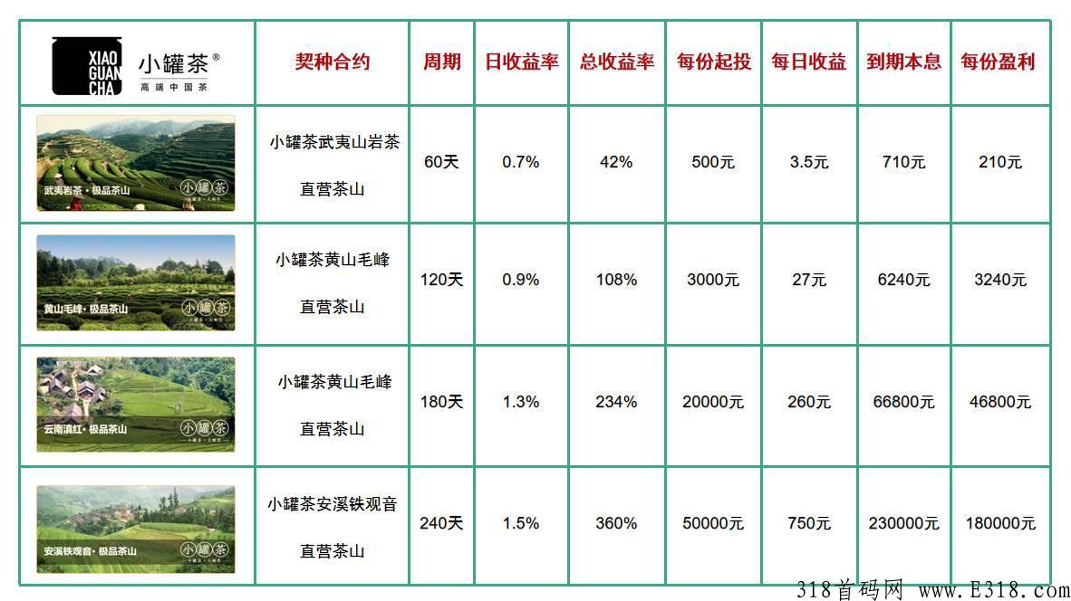 小罐茶，年度最佳长久项目