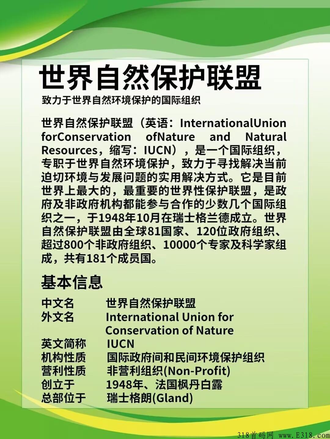 首码 《 自然联盟 》下一个GEC即将诞生了，地面工作室，陆续就位