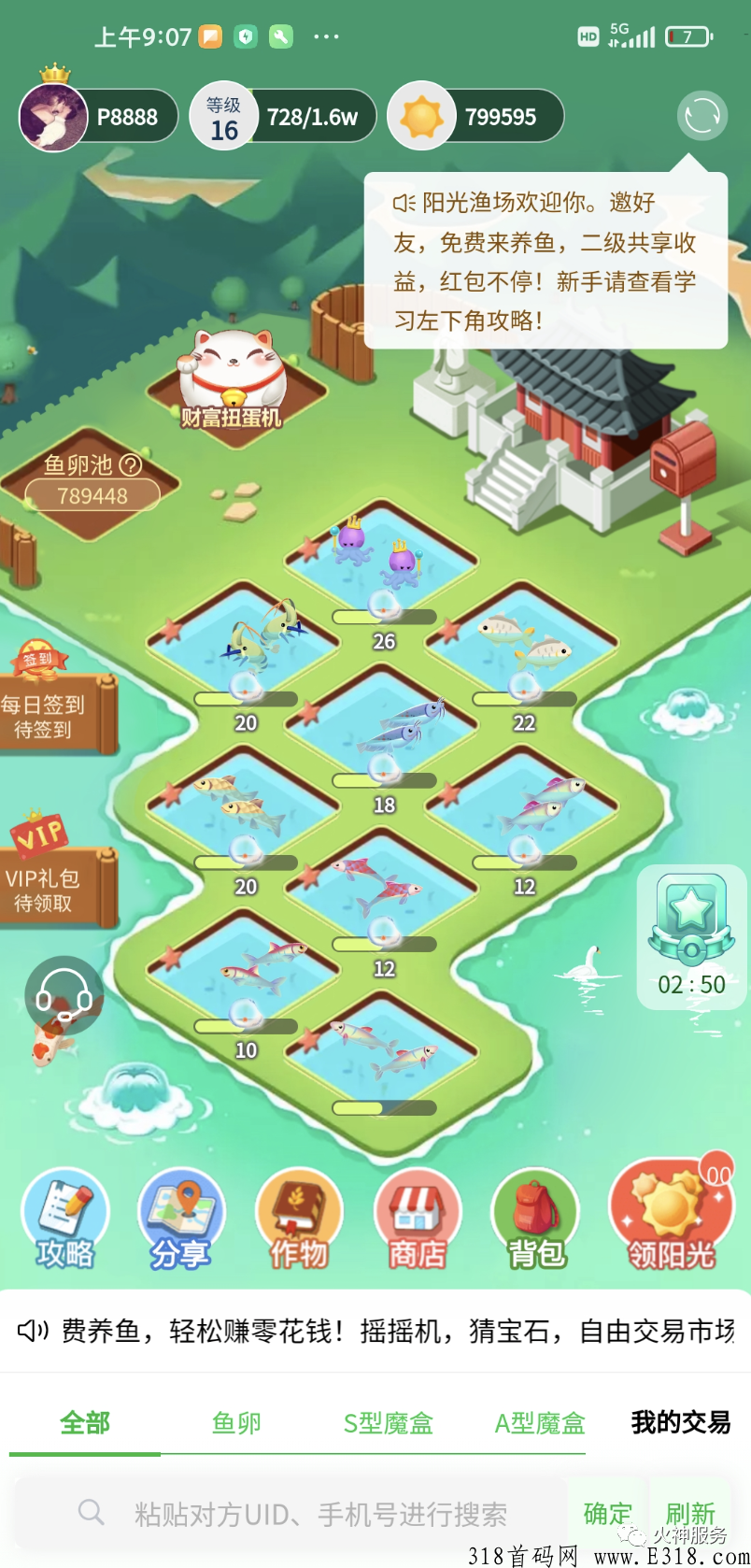 阳光渔场，最强项目，原火神椰子
