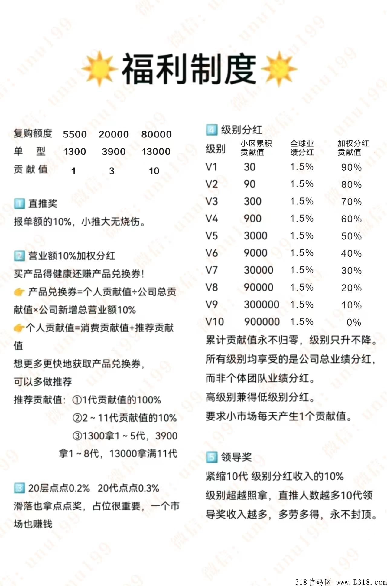 永春堂是什么项目，靠谱吗