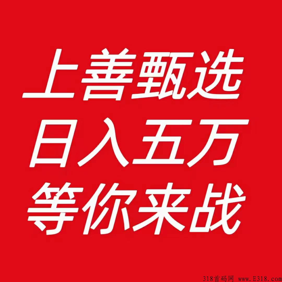 上善甄选首码对接，收益高等你来战