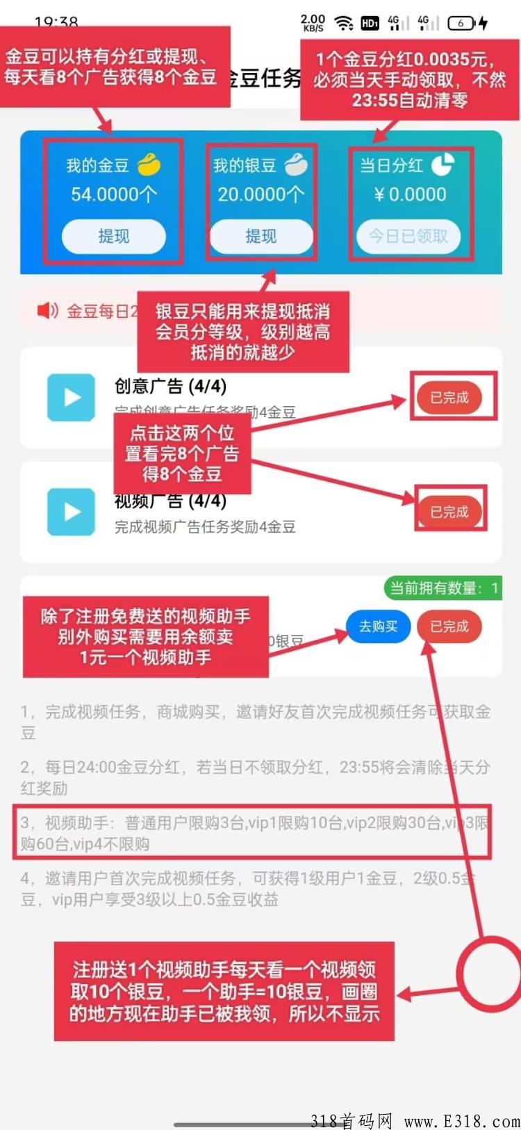 首码金豆淘购，长期项目