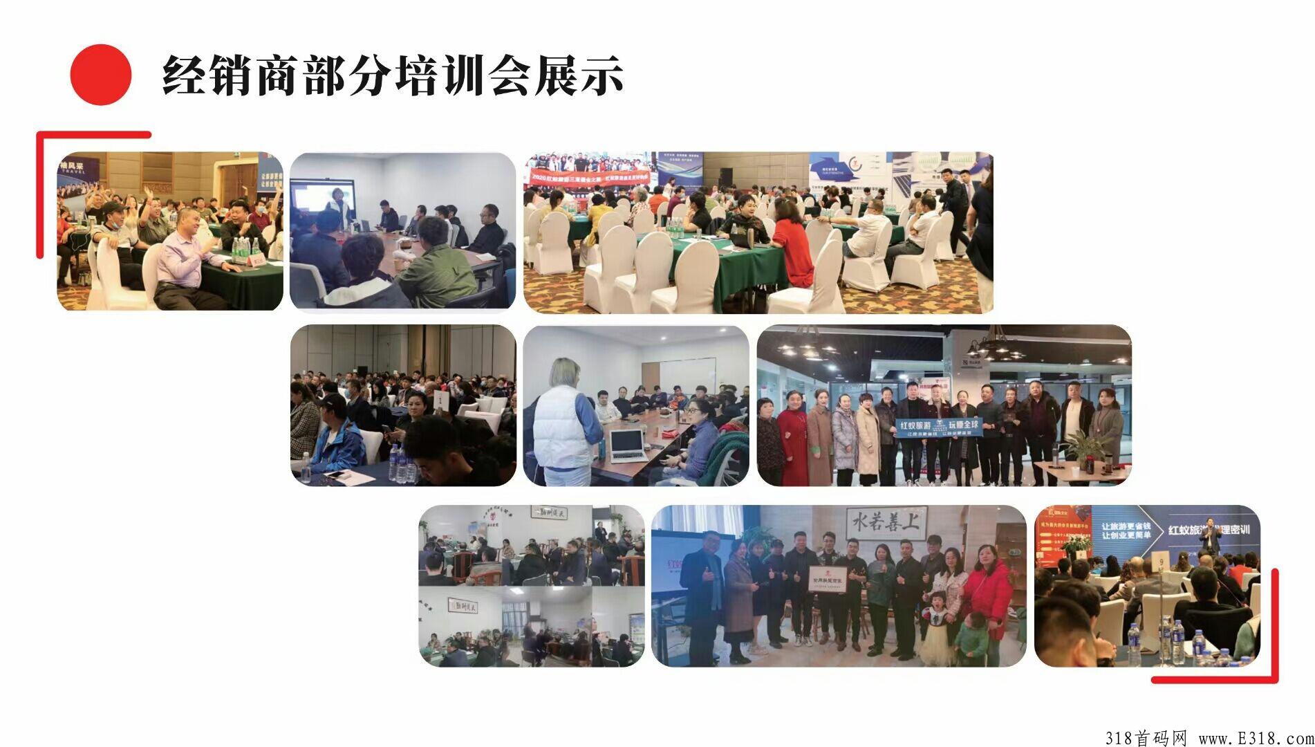 红蚁旅游首码长久稳定，代2日结，无认证费，三年实体企业改革零创卷轴推广拉新模式