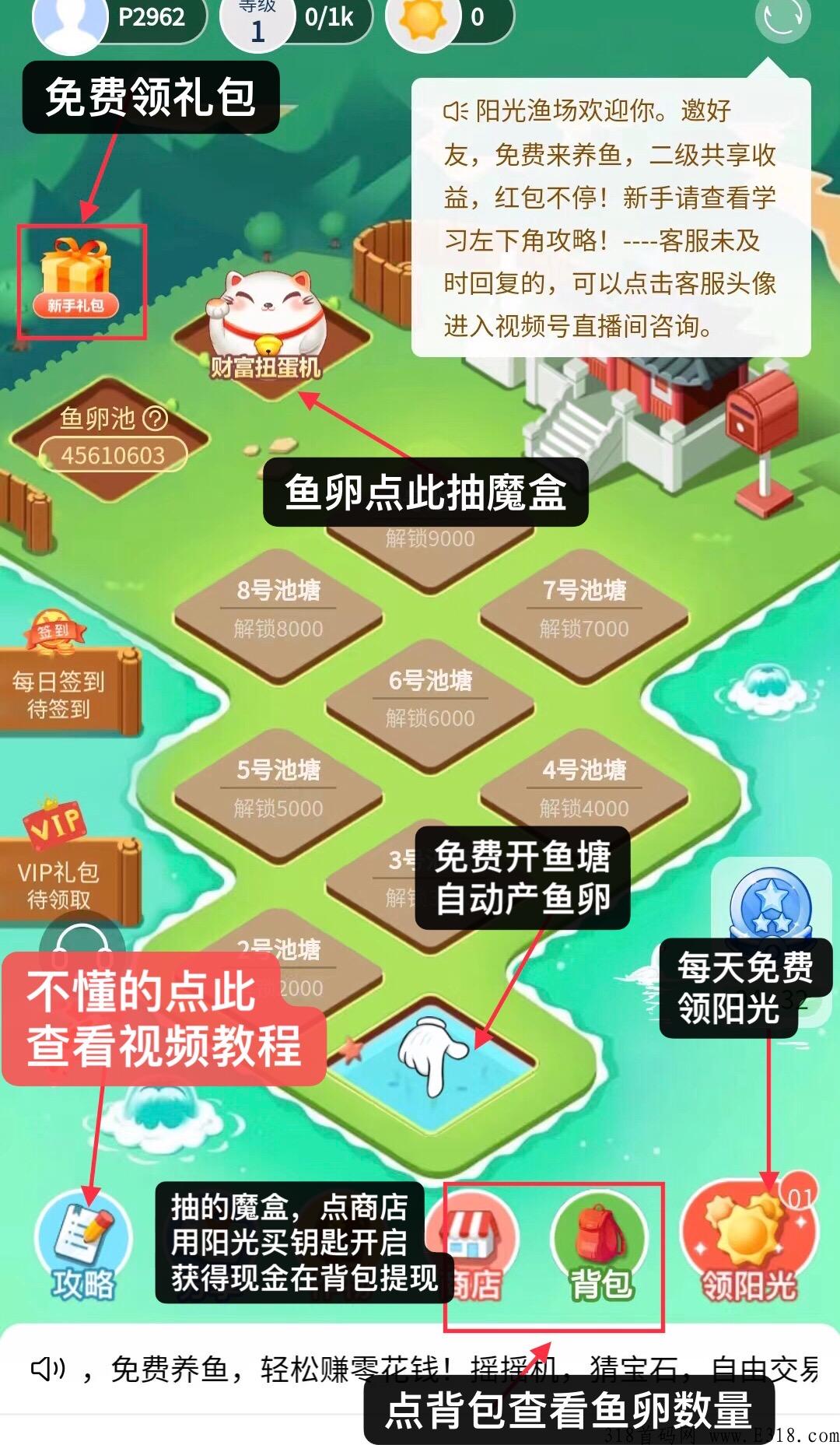 阳光渔场，半自动g机，单号价高，多号翻倍