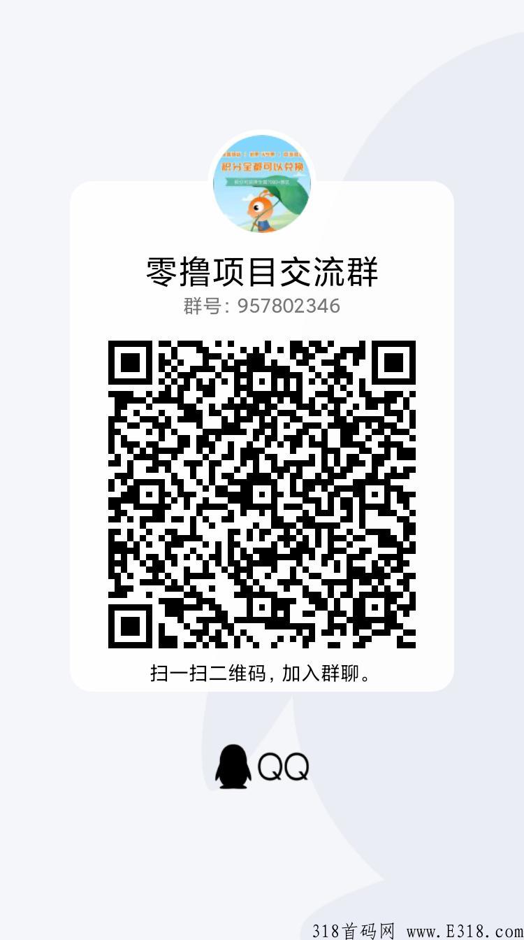 积分系统，分h项目，全程零投，秒提