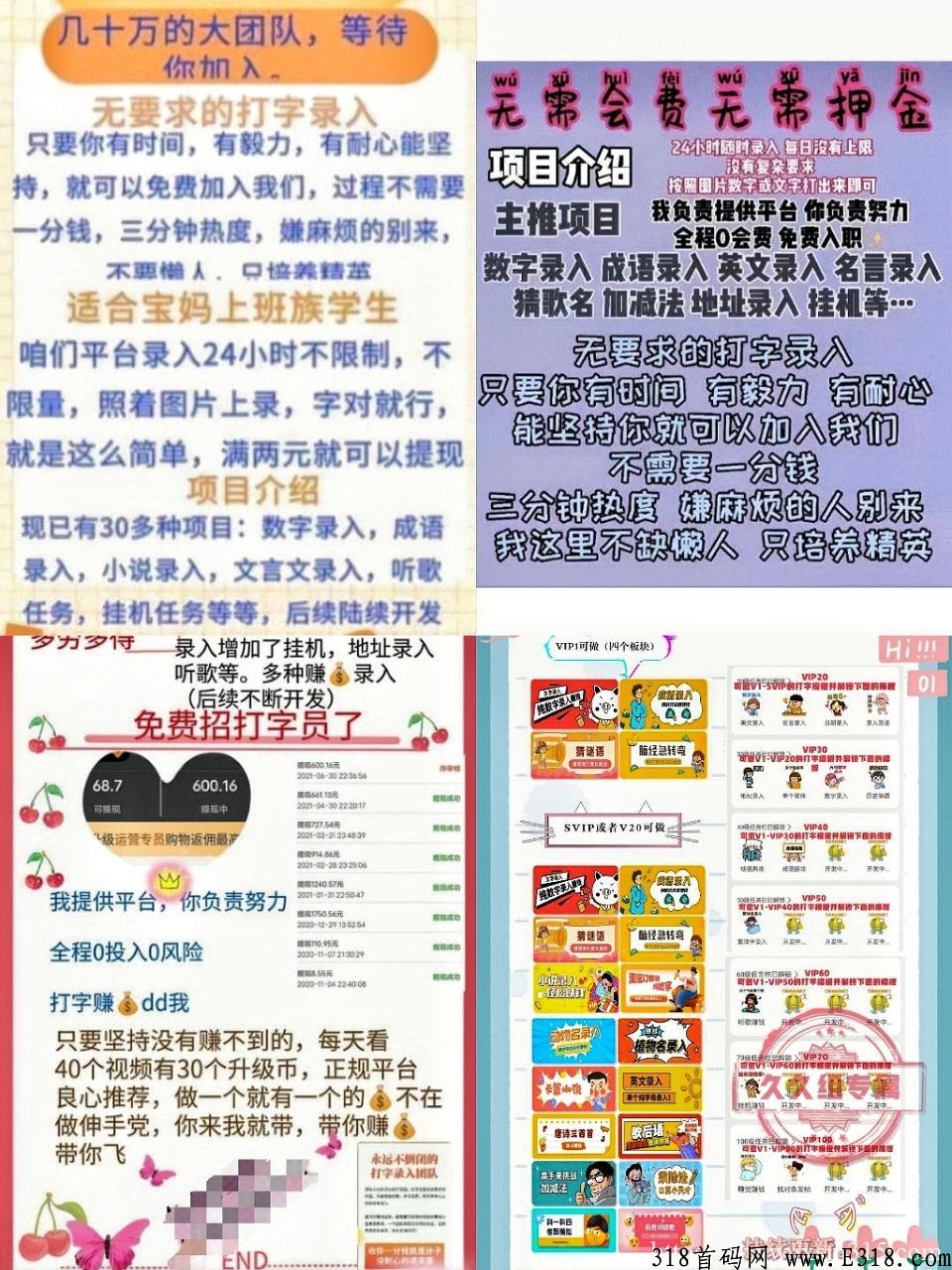 打字尖职，全程免费入职