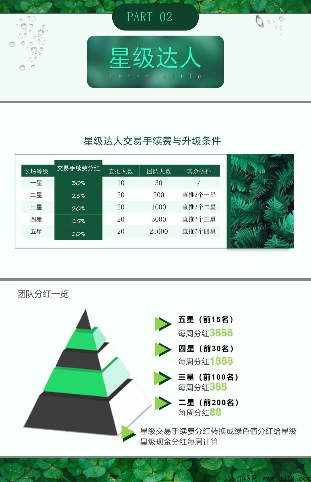 绿色生态送大包卷轴，一个广告，不复投不保留