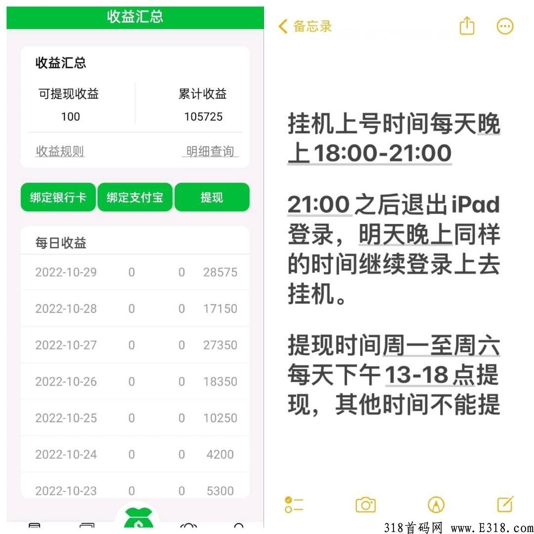 有米，托管项目