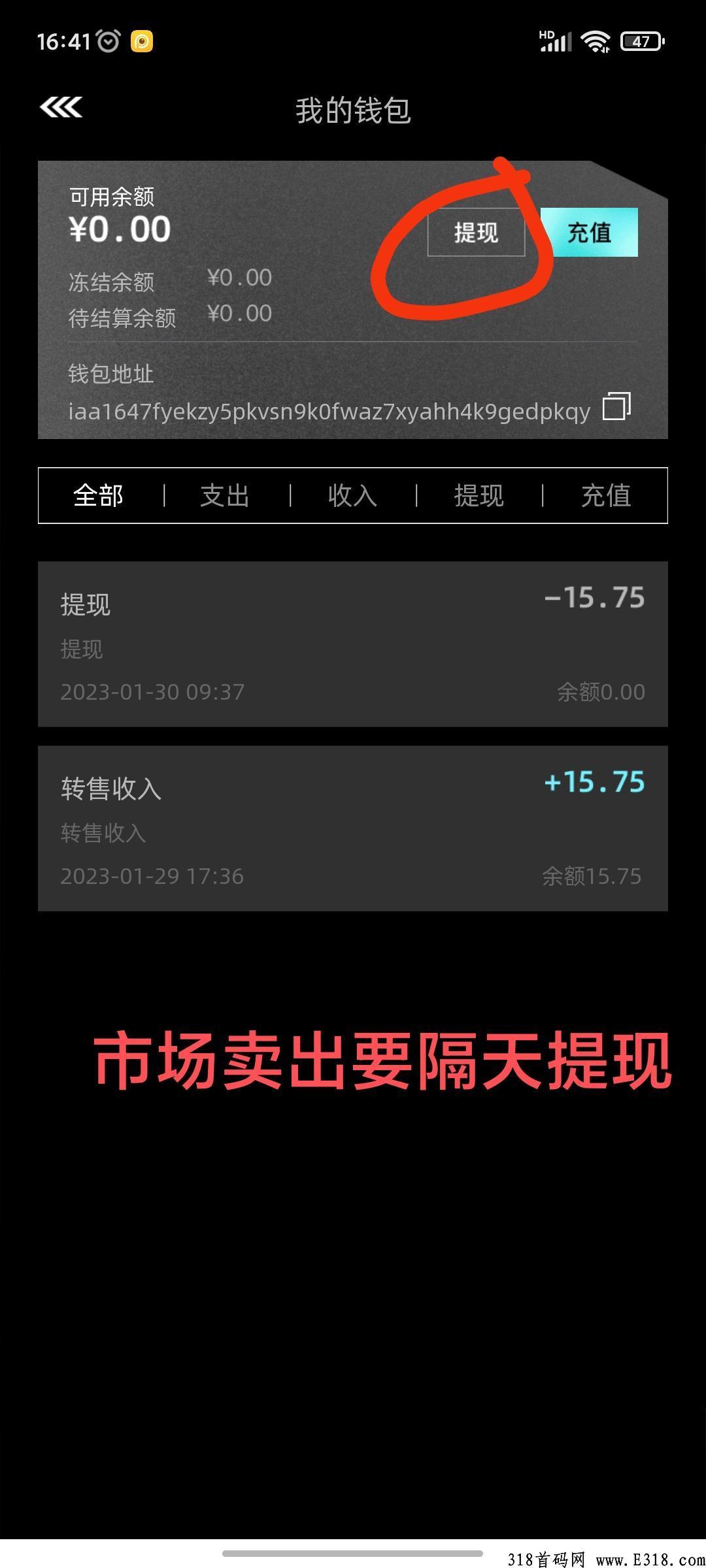 非凡艺术2023年最强黑马项目