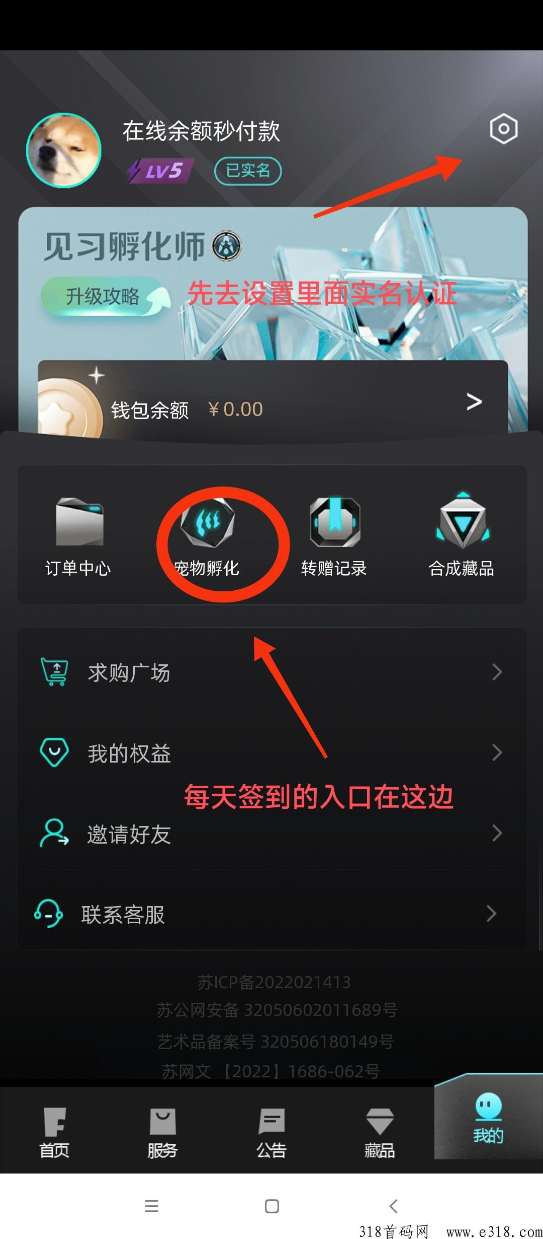 非梵艺术高扶持报销宠物钱，快来