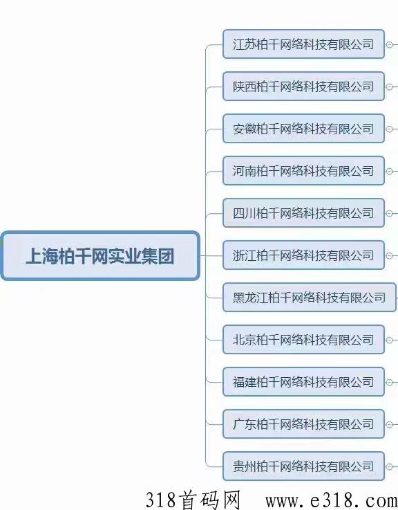 柏千网，本月正式内测领导人进场