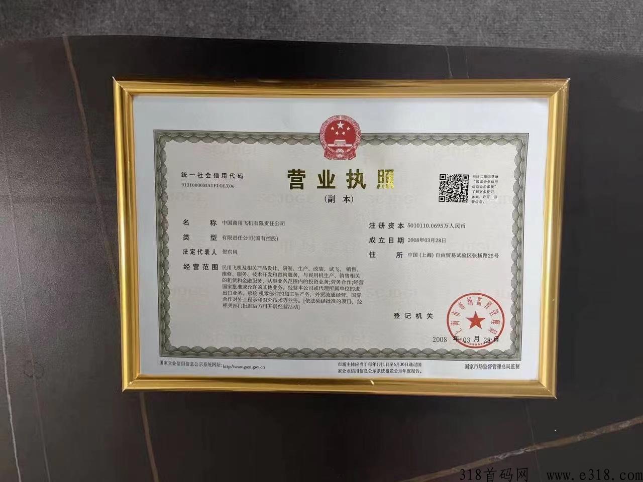 中G商飞C919新出的一个项目