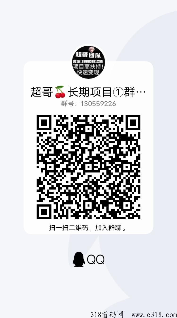 长期项目对接团队长