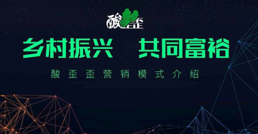 湖南酸歪歪首码项目,火爆上线 image.png