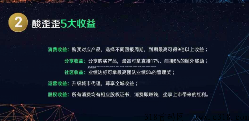 湖南酸歪歪首码项目,火爆上线 image.png