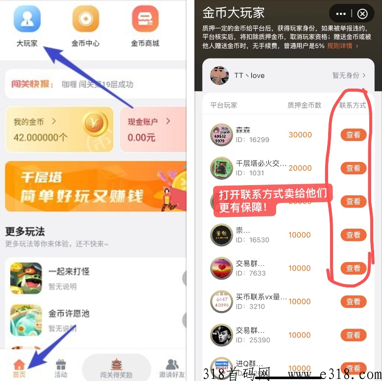 千层塔首码好项目，每天都可变现，2023新风口！