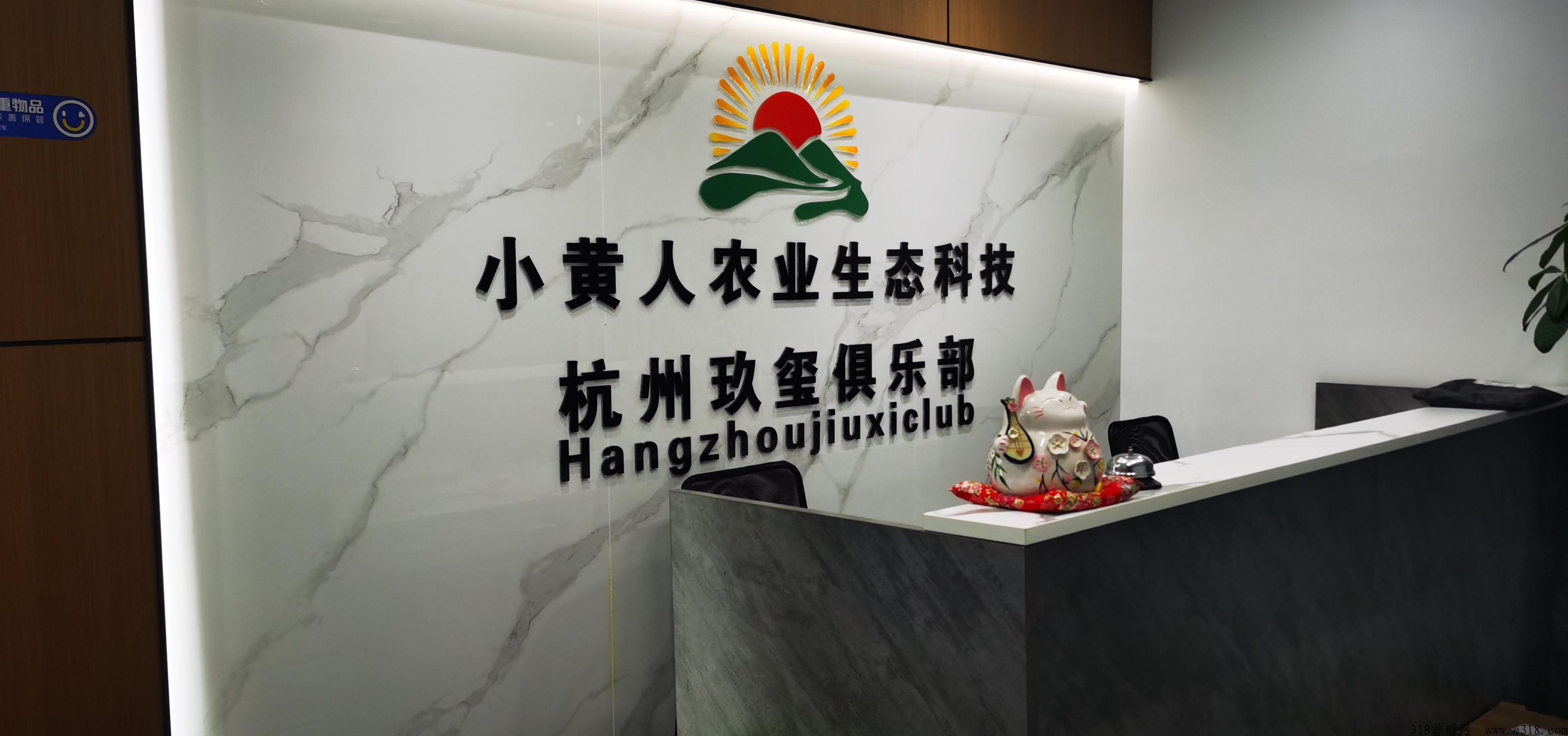 2023柏千网，小黄人财富机会来了，兄弟姐妹们跟上第一批的吃肉