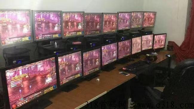 龙珠搬砖小游戏首码，节假日不休息的打金回收装备手游