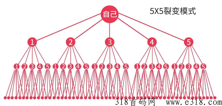 花小猫，打开思维，打开格局，让你赚米