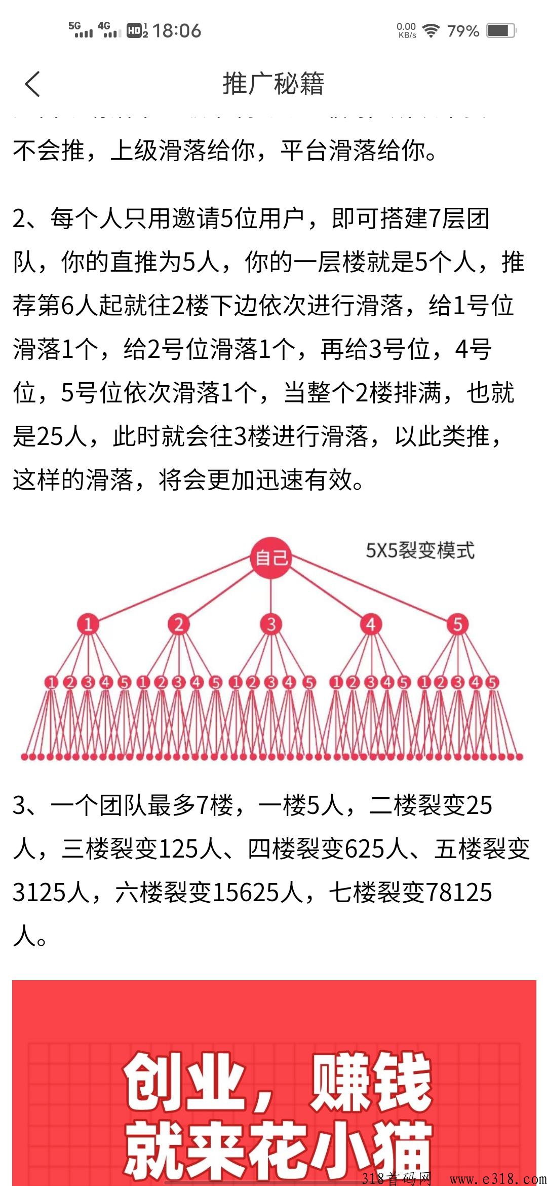 花小猫，有鱼有喜模式