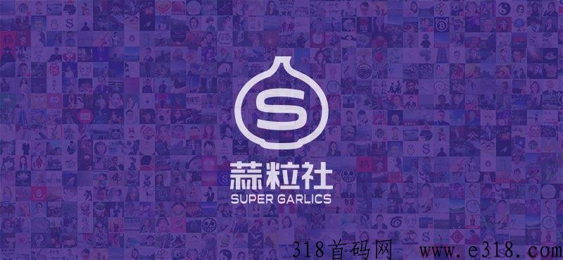 蒜粒社TAN：一文读懂