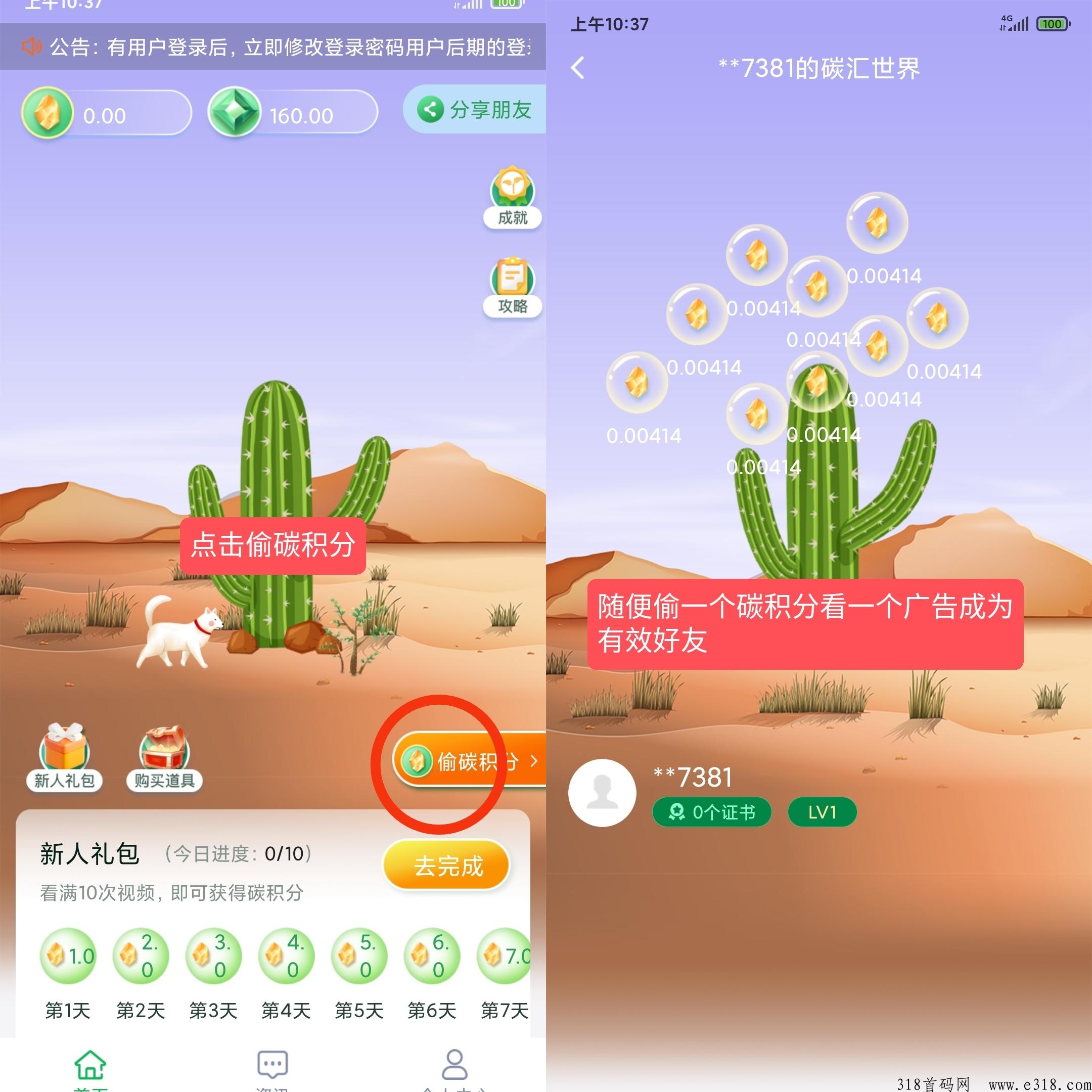 碳汇世界  超级首码项目