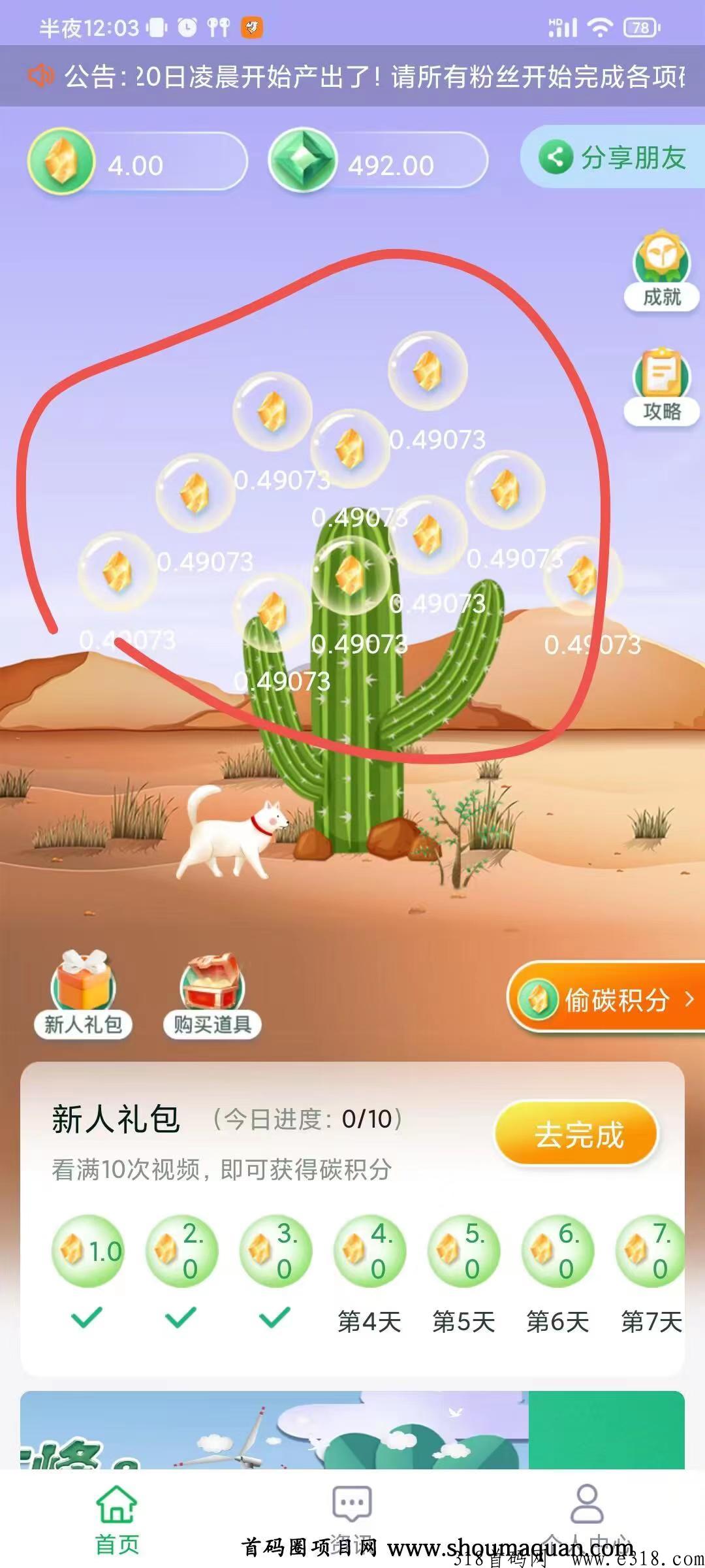 首码碳汇世界，下月开交易